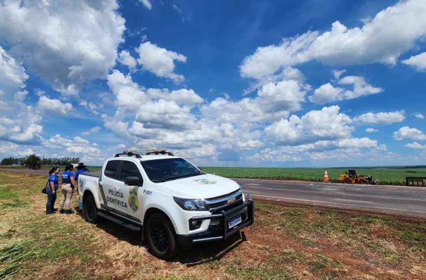 Vai viajar para curtir a folia? Especialistas de MS reforçam orientações para quem vai pegar a estrada