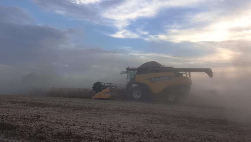 Saca 60 kg: Saiba como ficaram as cotações de soja após período de Carnaval