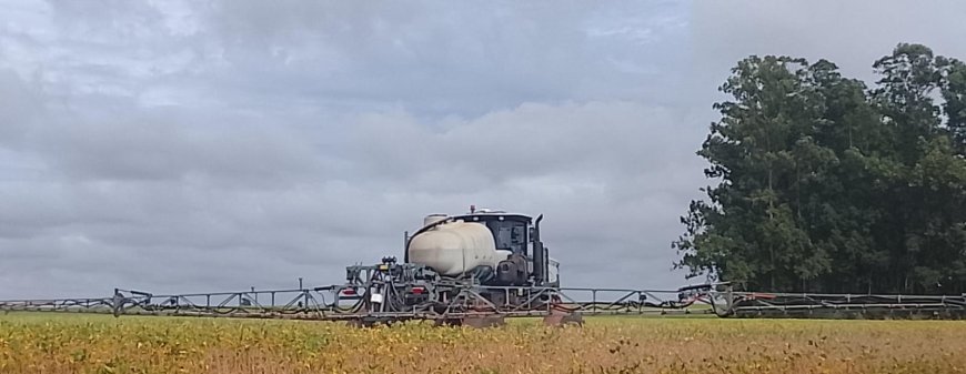 Cultura: Área tratada com defensivos na safra 25/26 deve crescer 6%, indica Sindiveg