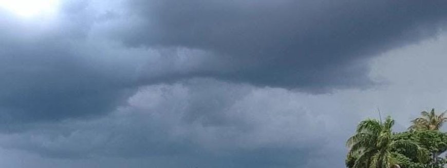 Tempo e temperatura: Temporais e calor de até 37°C marcam a sexta-feira em Mato Grosso do Sul