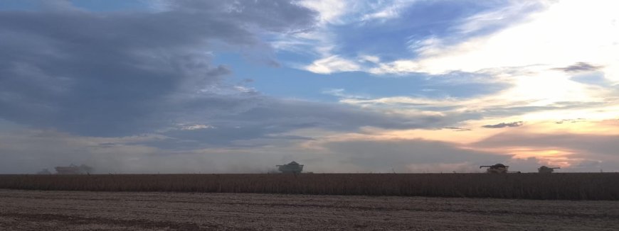 Safra: Região Sul lidera colheita da soja em Mato Grosso do Sul