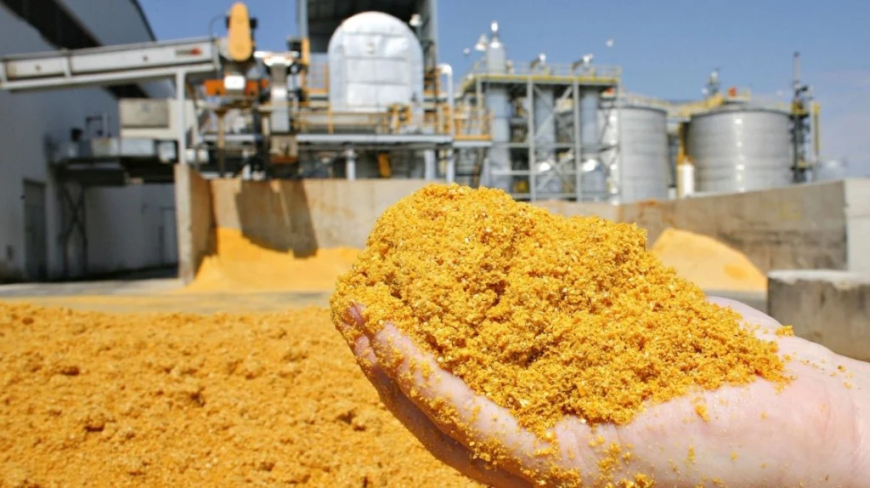 Ásia: Brasil embarca primeira carga de DDG para China