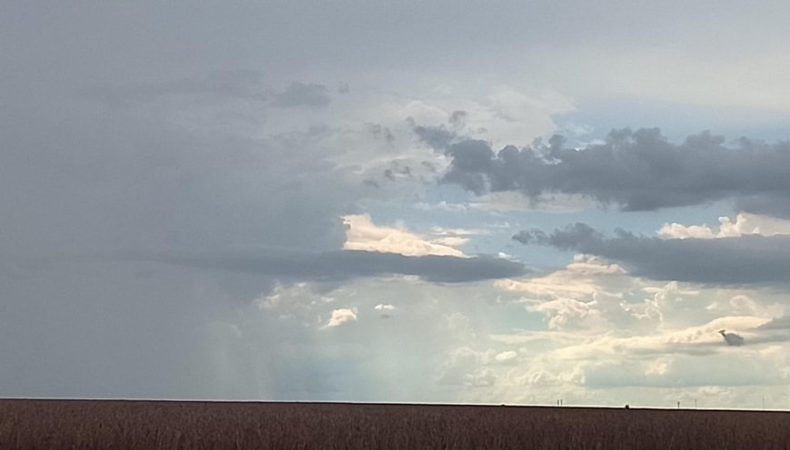 Tempo e temperatura: Segunda começa com chuva fraca e pode terminar com temporais isolados em MS