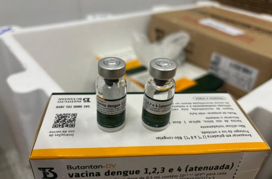 SES define distribuição das 7,8 mil doses contra dengue para os 79 municípios de MS