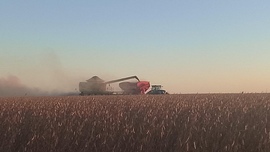 Saca 60 kg: Movimentações são registradas nos portos, mas soja oscila no Brasil; saiba os preços