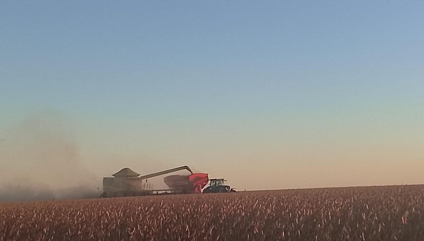 Saca: Como ficaram os preços de soja no último dia de fevereiro? Saiba as cotações no fechamento