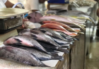 Cuidado: Vigilância Sanitária orienta sobre compra de pescado na Semana Santa