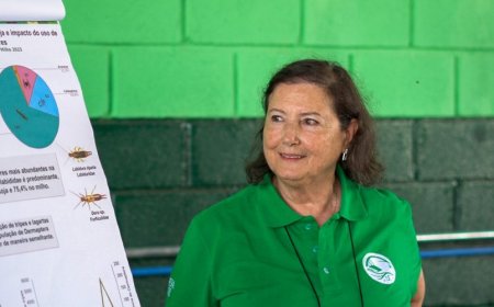 Mais pesticida, mais praga: estudo revela paradoxo no manejo da soja