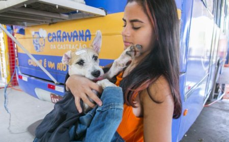 Caravana da Castração chega à Capital e se consolida como o maior programa de controle de animais em MS