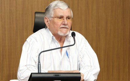 Comissão de Agricultura debate no dia 11 impactos ambientais da produção de eucalipto em MS