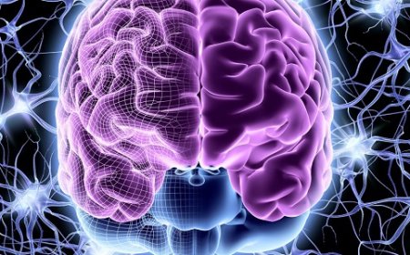 Anvisa aprova medicamento para crises de epilepsia farmacorresistente