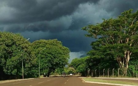 Alerta de chuvas intensas coloca regiões do Estado em situação de perigo até quinta-feira