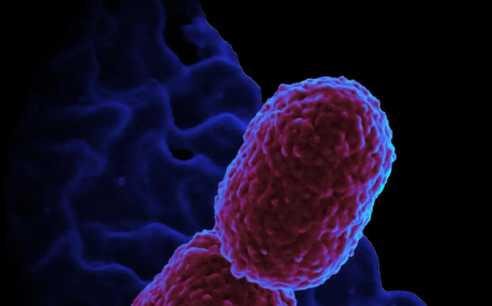 Hospital em Campinas restringe atendimento para conter superbactéria