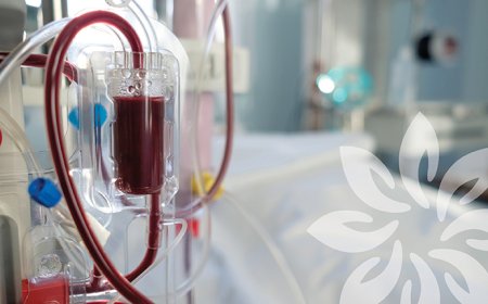 Ministério da Saúde aumenta em 15% os repasses para hemodiálises