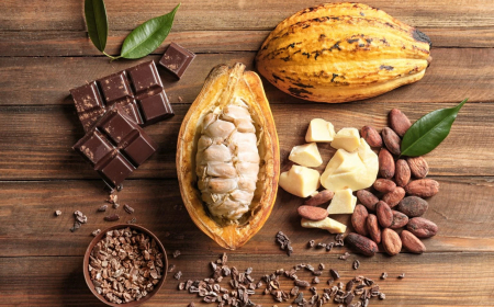 Mudança: Câmara aprova projeto que define percentual de cacau em chocolates e elimina 'meio amargo'