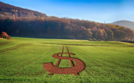 Observação: Guerra no Irã muda cenário de juros no Brasil e pressiona Plano Safra