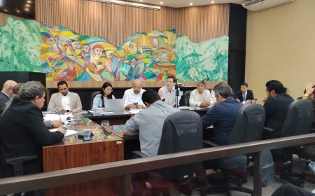 Câmara de Ponta Porã sediará Audiência    Pública sobre a Energisa dia 25