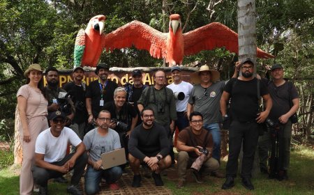 Natureza Mato Grosso do Sul:  Presstrip apresenta biomas sul-mato-grossenses a jornalistas durante a COP15