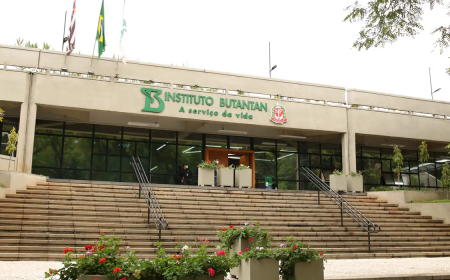 Inovação: Butantan produzirá remédio contra câncer para o SUS