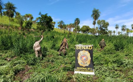 SENAD em ação: Combate ao tráfico de drogas na fronteira na região de Cerro Corá