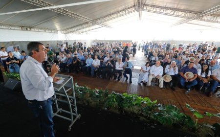 Expocanas: com 22 usinas em operação, MS se consolida como um dos principais produtores de energia limpa