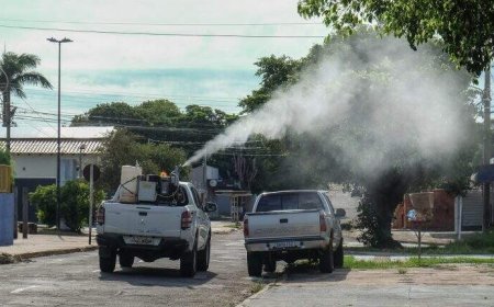 Alerta: Saúde libera R$ 900 mil para combate ao Chikungunya em Dourados
