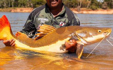 Espécies: COP15 aprova maior proteção de bagres gigantes da Amazônia e ariranhas