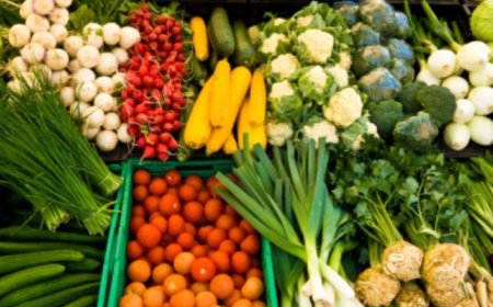 Mercado: Oferta maior derruba preços de frutas no atacado em fevereiro