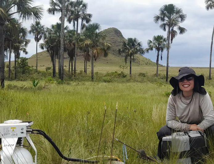 Estudo indica que Cerrado pode armazenar mais carbono que Amazônia