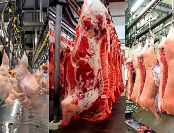 Mercado: Brasil bate recorde no abate de bovinos, frangos e suínos em 2025, diz IBGE