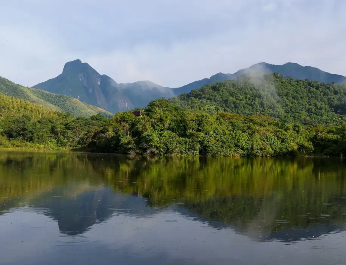Análise: Qualidade dos rios da Mata Atlântica continua precária, aponta estudo