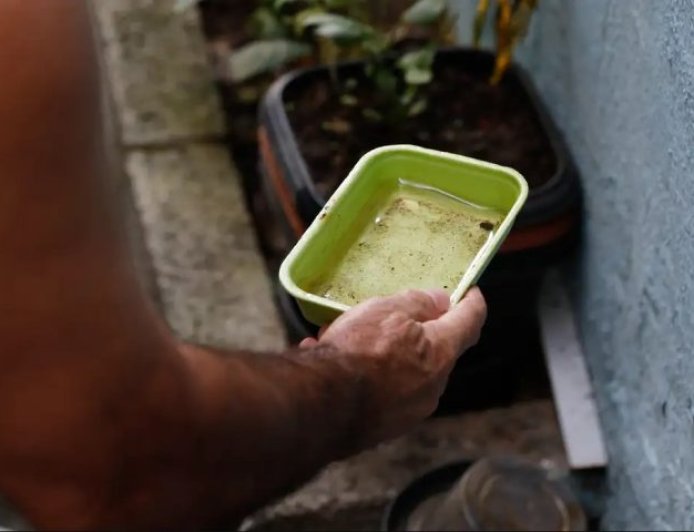 Estado articula para trazer vacina da chikungunya para MS e garante inclusão em estratégia piloto nacional