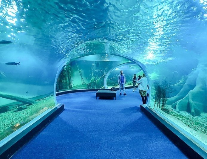 Celebração: Bioparque Pantanal completa quatro anos e reforça papel como referência em turismo e conservação