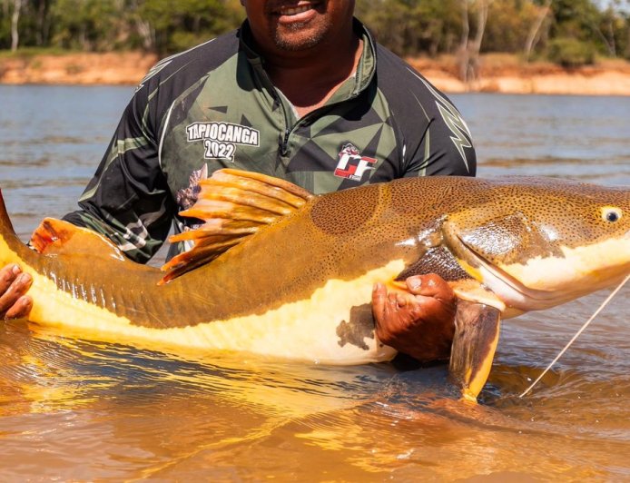 Espécies: COP15 aprova maior proteção de bagres gigantes da Amazônia e ariranhas