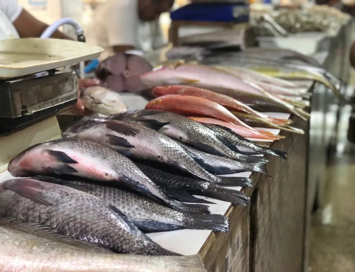 Cuidado: Vigilância Sanitária orienta sobre compra de pescado na Semana Santa