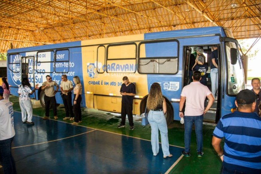 Amora foi uma das primeiras: Caravana da Castração tem atendimento em Campo Grande e região