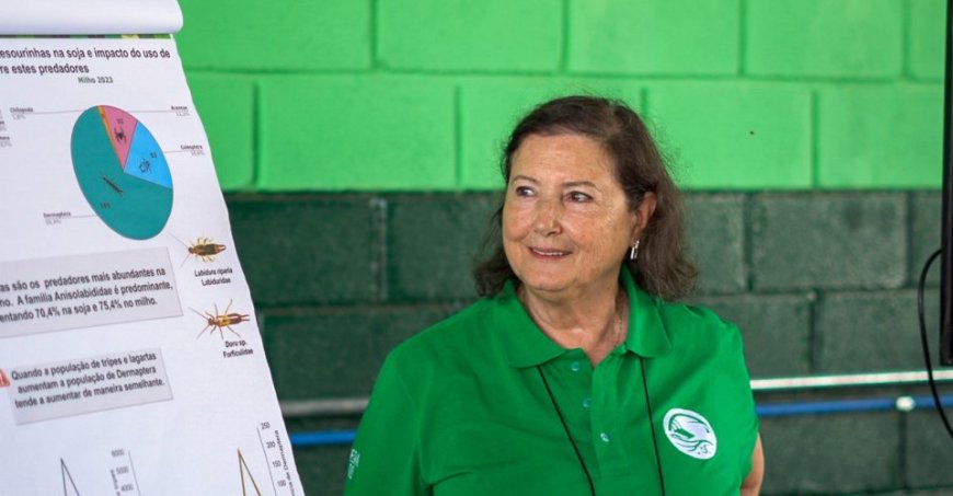 Mais pesticida, mais praga: estudo revela paradoxo no manejo da soja