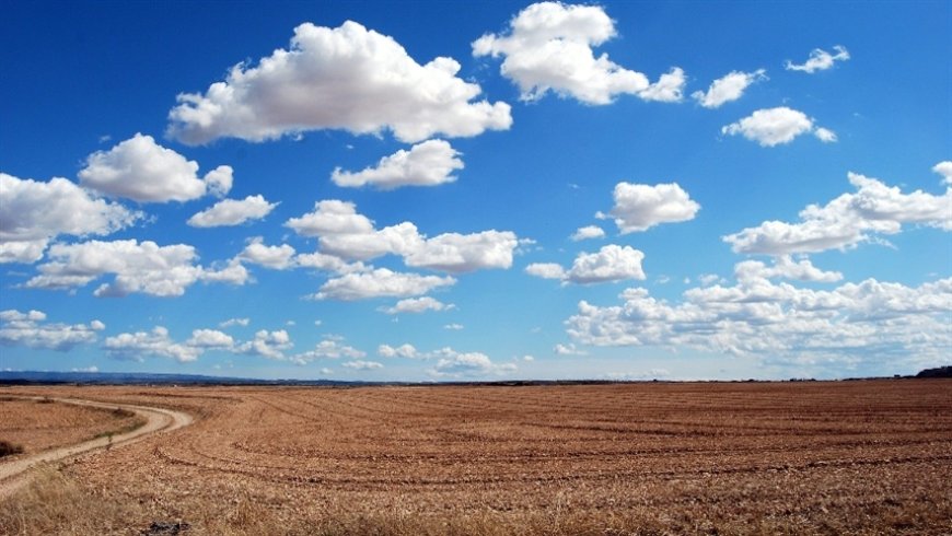 Agronegócio registra 1.990 pedidos de recuperação judicial em 2025