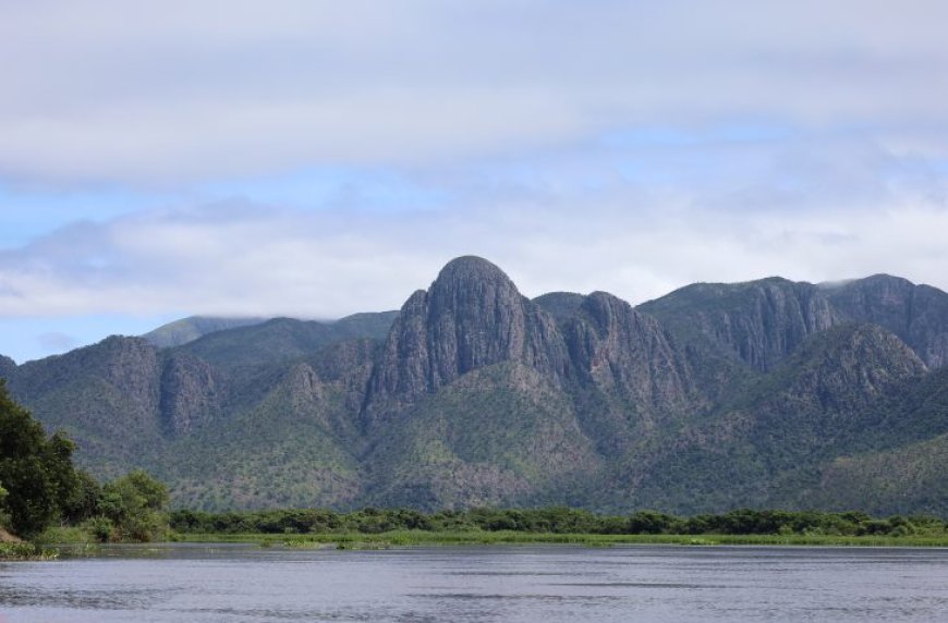 Para preservar o Pantanal, PSA Brigadas destinou mais de R$ 6,1 milhões para diferentes projetos sustentáveis