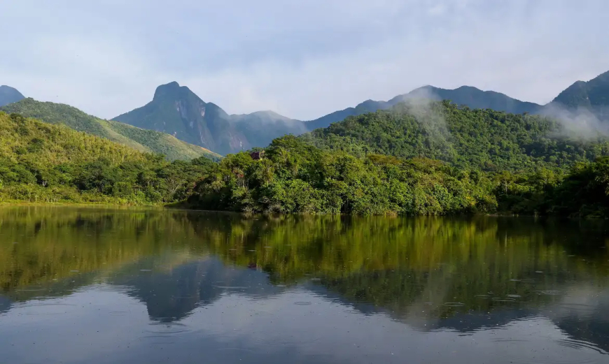 Análise: Qualidade dos rios da Mata Atlântica continua precária, aponta estudo