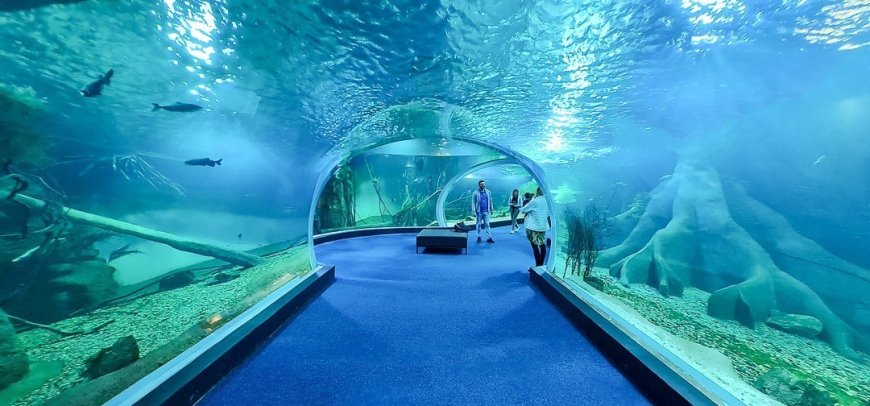 Celebração: Bioparque Pantanal completa quatro anos e reforça papel como referência em turismo e conservação