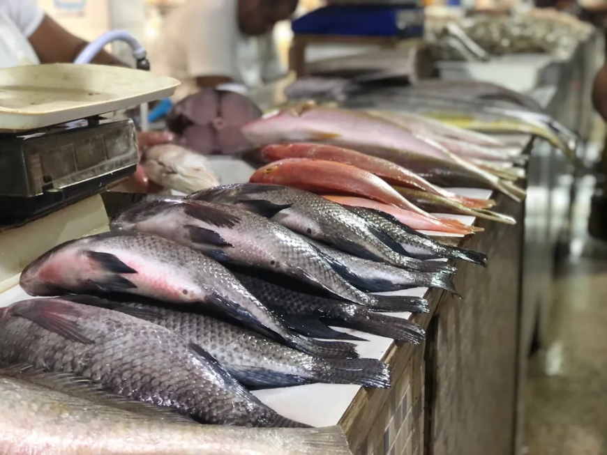 Cuidado: Vigilância Sanitária orienta sobre compra de pescado na Semana Santa