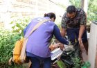 Alerta: Dourados decreta calamidade em saúde pública por avanço da chikungunya e colapso na rede
