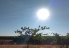 Confira: Sexta-feira (24) será de calor intenso, tempo seco e baixa umidade em MS