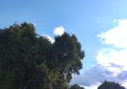 De olho: Domingo será de calor e pancadas isoladas de chuva em Mato Grosso do Sul