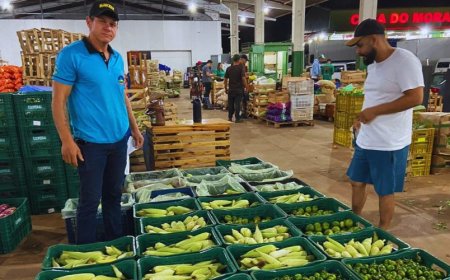 Rota: Produtor percorre mais de 320 km toda semana para vender hortaliças do Itamarati em Campo Grande