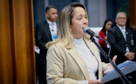 Ações de enfrentamento à violência contra a mulher poderão ser estendidas à rede particular