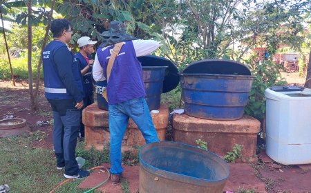 Alerta Chikungunya: ministro classifica como crítica situação em Dourados