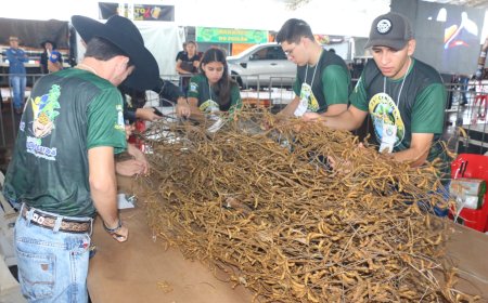 Evento: Pé de Soja Solteiro será de 24 a 26 de abril em Laguna Carapã