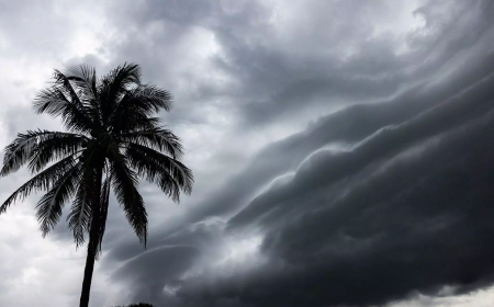 Aos poucos, frio perde força em Mato Grosso do Sul, mas quarta-feira ainda terá amanhecer gelado